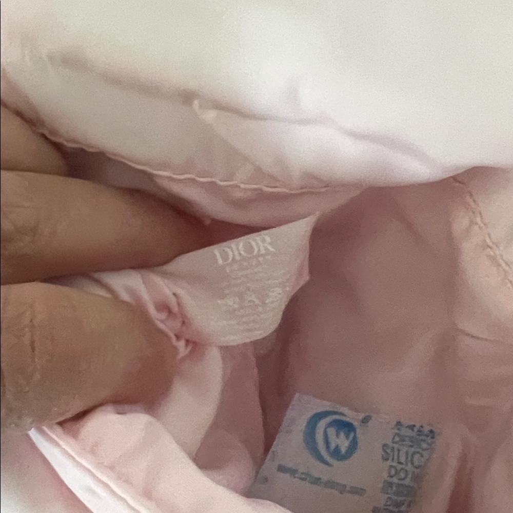Dior Blush Pink Clutch with Silver Logo - Picture 4 of 10